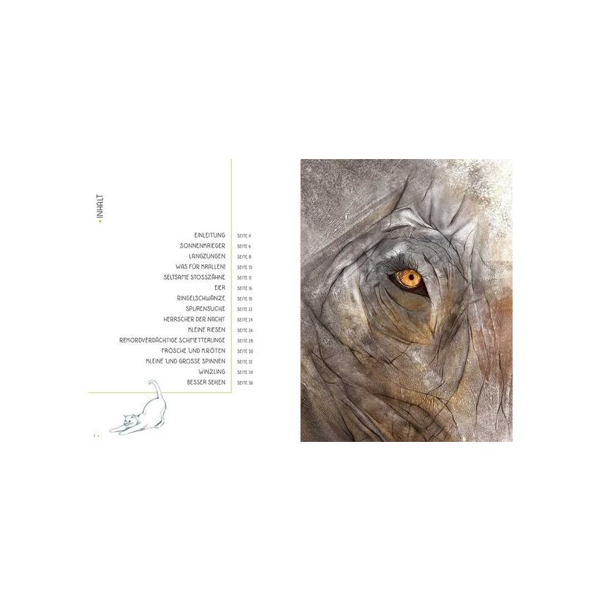 WSKids - 100% Tiere in Lebensgrösse