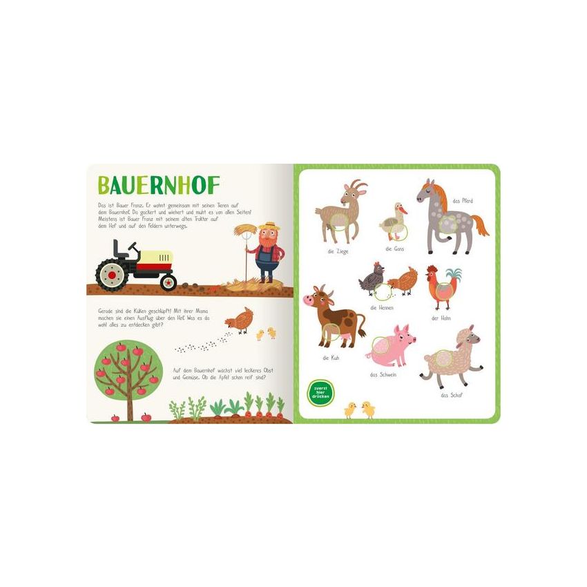 arsEdition - Mein kunterbuntes Soundbuch - Tiere