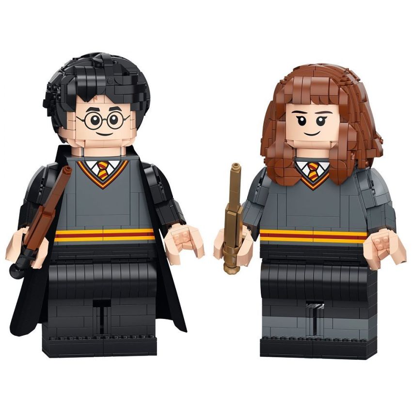 LEGO® Harry Potter 76393 - Harry Potter & Hermine Granger