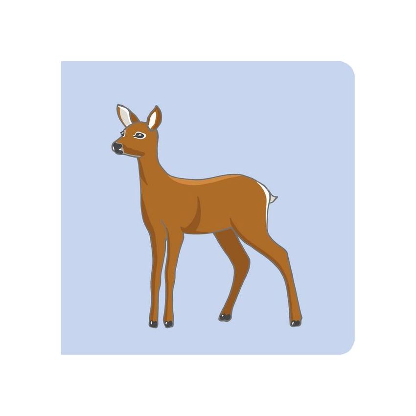 Vicky Bo Verlag - Baby-Bilderbuch ab 6 Monate