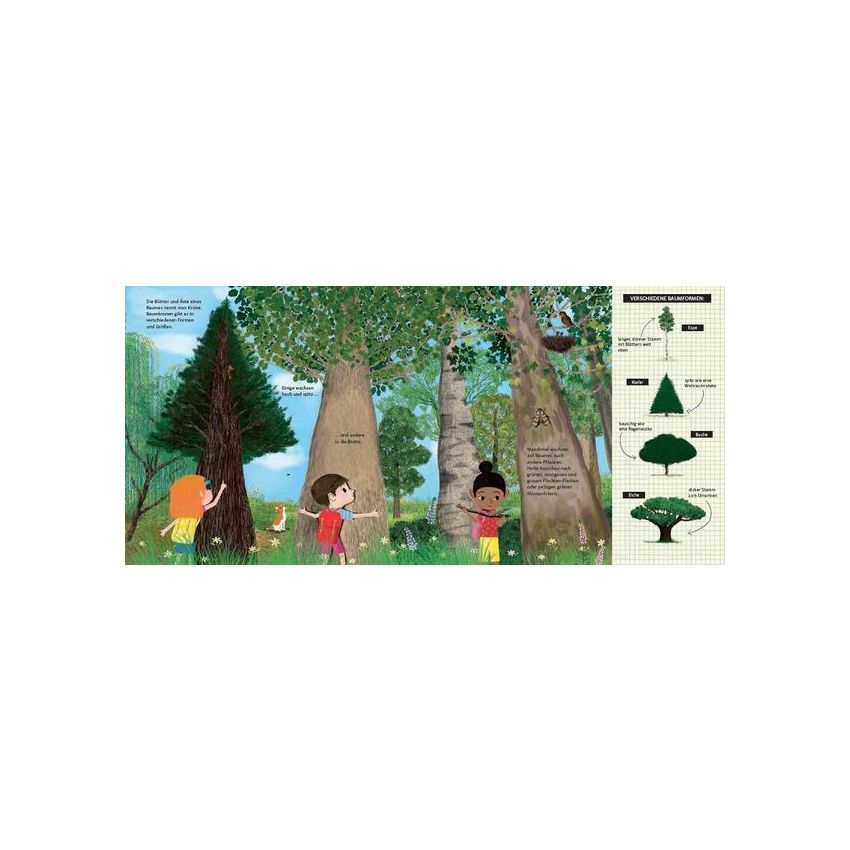 Penguin Verlag - Schau dich um in der Natur - Der Wald