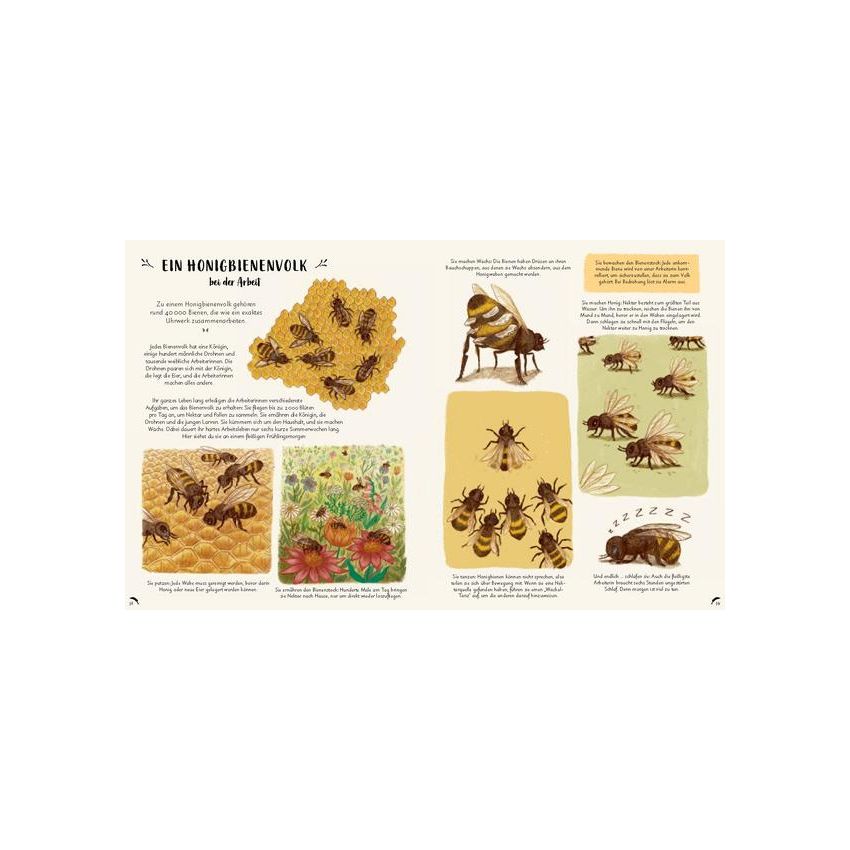 Prestel Verlag - Wunder der Natur¨- 50 wahre Wunder der Natur zum Innehalten und Staunen