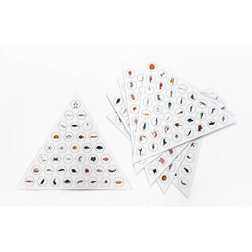 Laurence King Verlag - Erster sein! Meere! Das große Wimmel-Such-Spiel