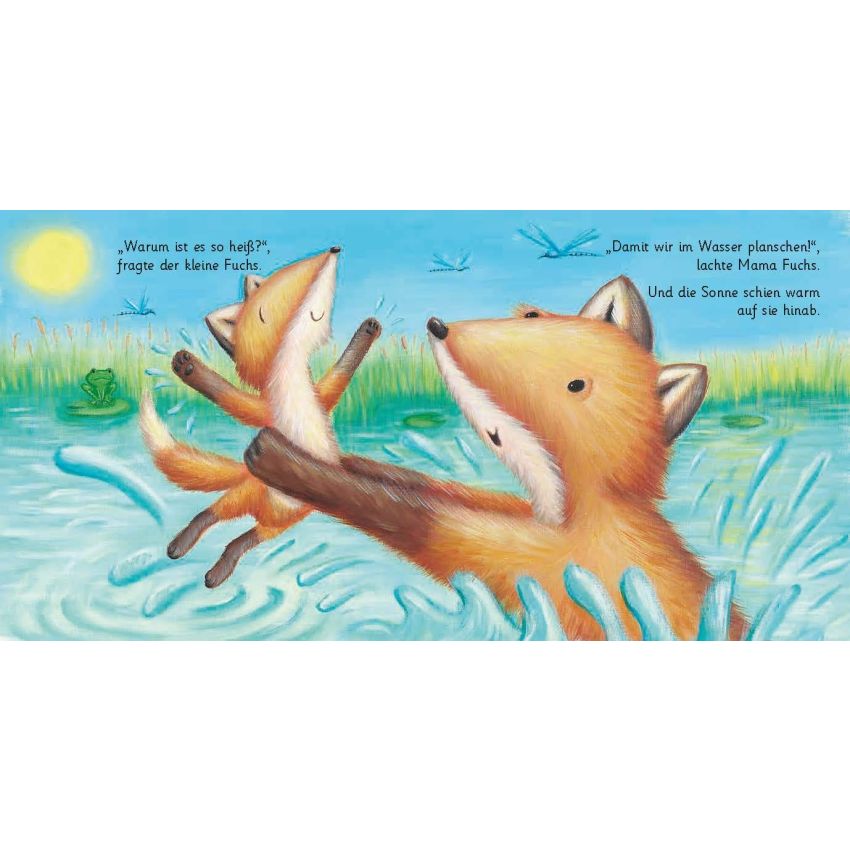 Delphin Verlag - Der kleine Fuchs und der Sommer
