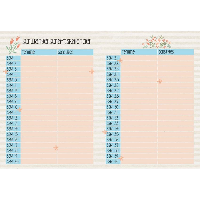 Circon Verlag - Mein Baby! Tagebuch für die Schwangerschaft