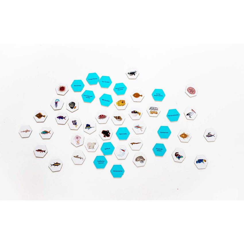 Laurence King Verlag - Erster sein! Meere! Das große Wimmel-Such-Spiel