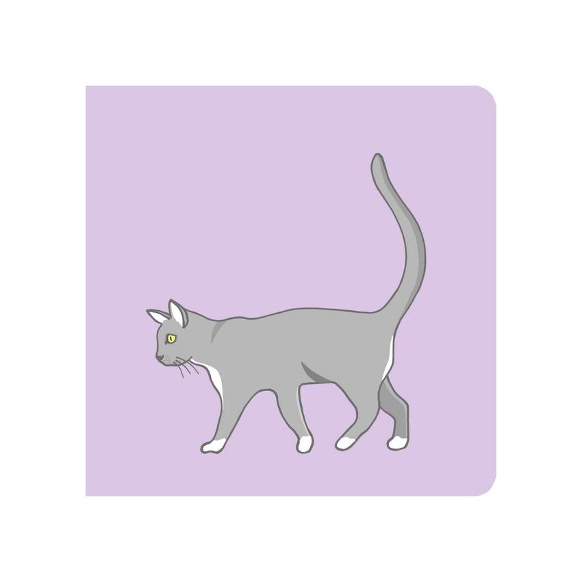 Vicky Bo Verlag - Baby-Bilderbuch ab 6 Monate