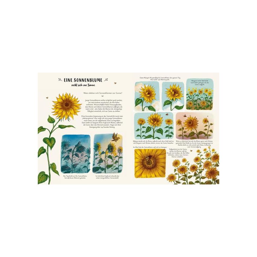 Prestel Verlag - Wunder der Natur¨- 50 wahre Wunder der Natur zum Innehalten und Staunen