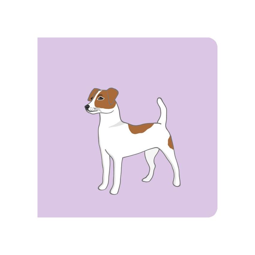 Vicky Bo Verlag - Baby-Bilderbuch ab 6 Monate