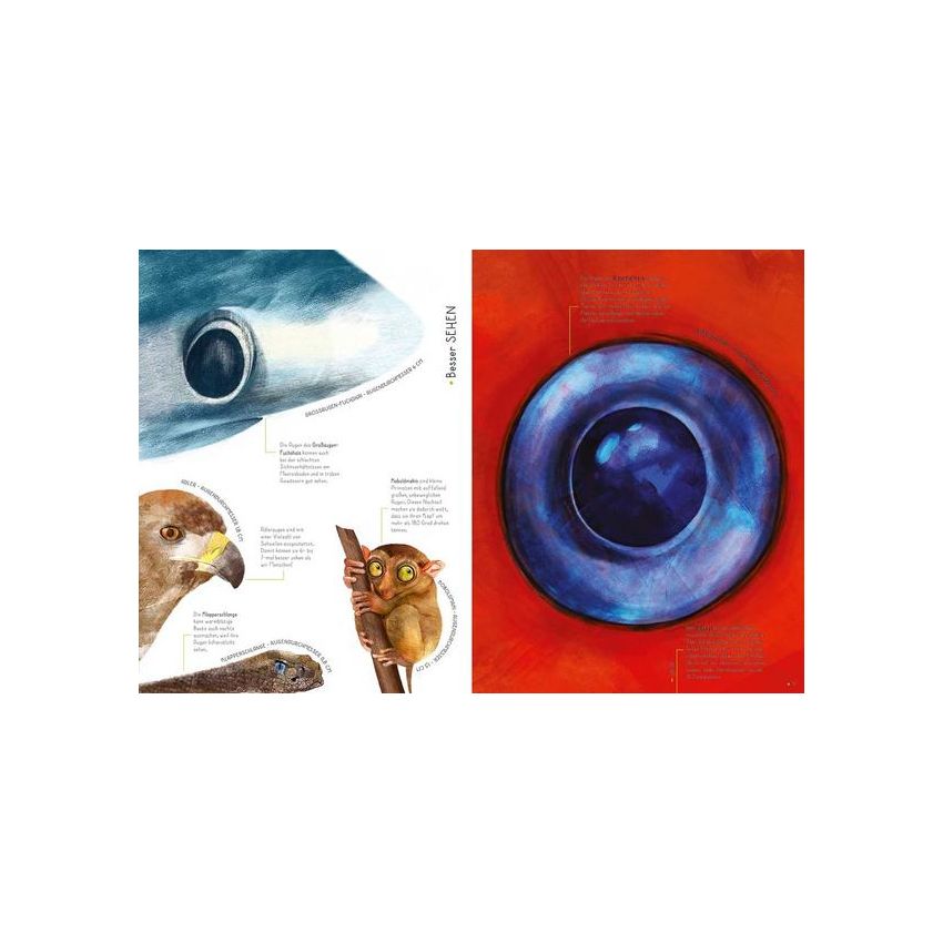 WSKids - 100% Tiere in Lebensgrösse