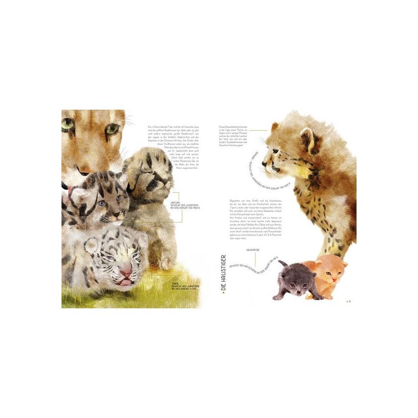 WSKids - 100% Tierbabys in Lebensgrösse