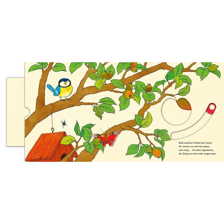 Sauerländer Verlag - Das Apfelwunder - Zum Schieben, Klappen und Staunen