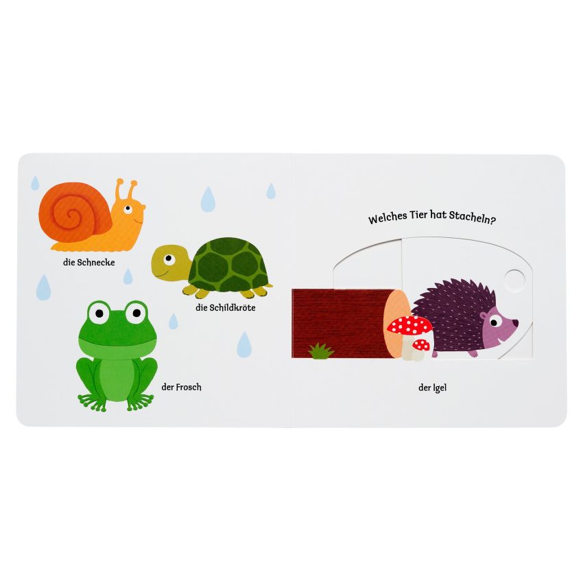 arsEdition - Mein erstes Buch von den kleinen Tieren