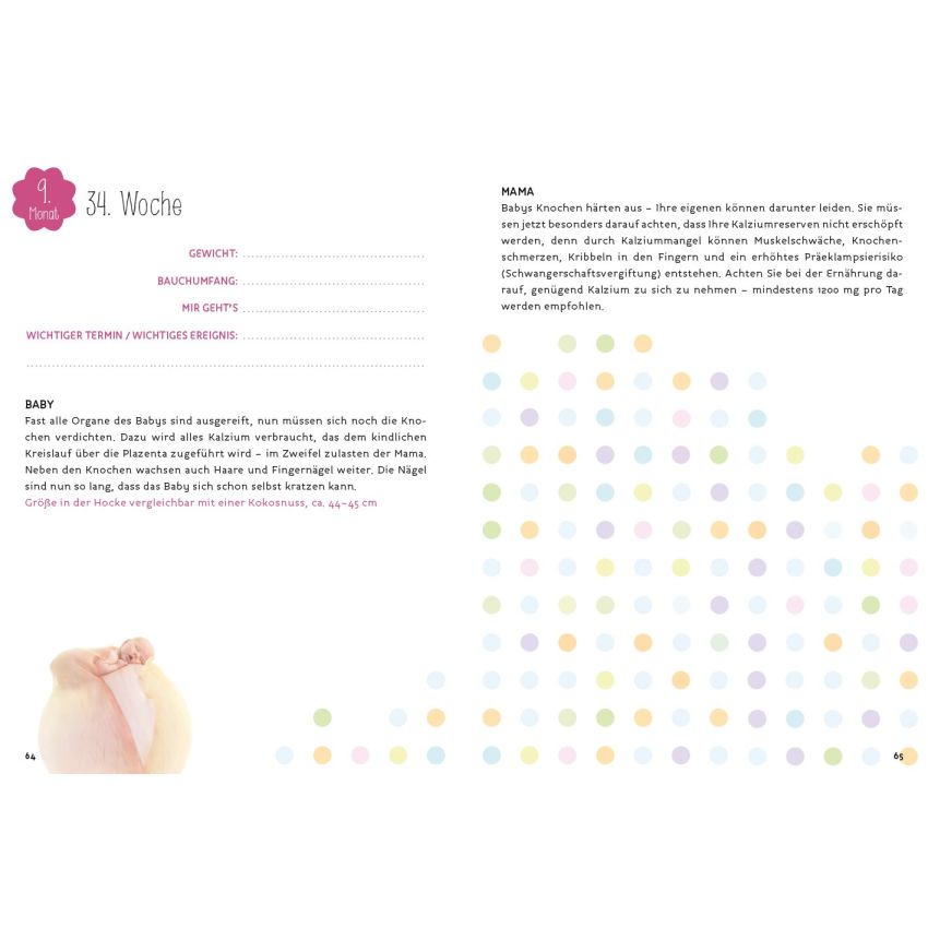 arsEdition - Anne Geddes - Schwangerschaftstagebuch