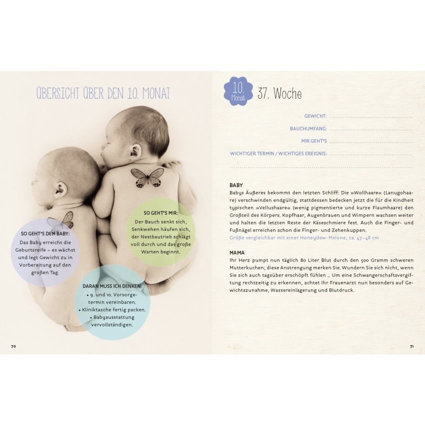 arsEdition - Anne Geddes - Schwangerschaftstagebuch