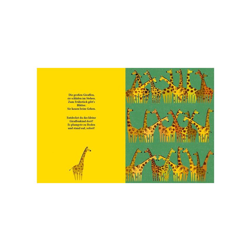 Prestel Verlag - Wo ist das Baby? Ein Suchbuch