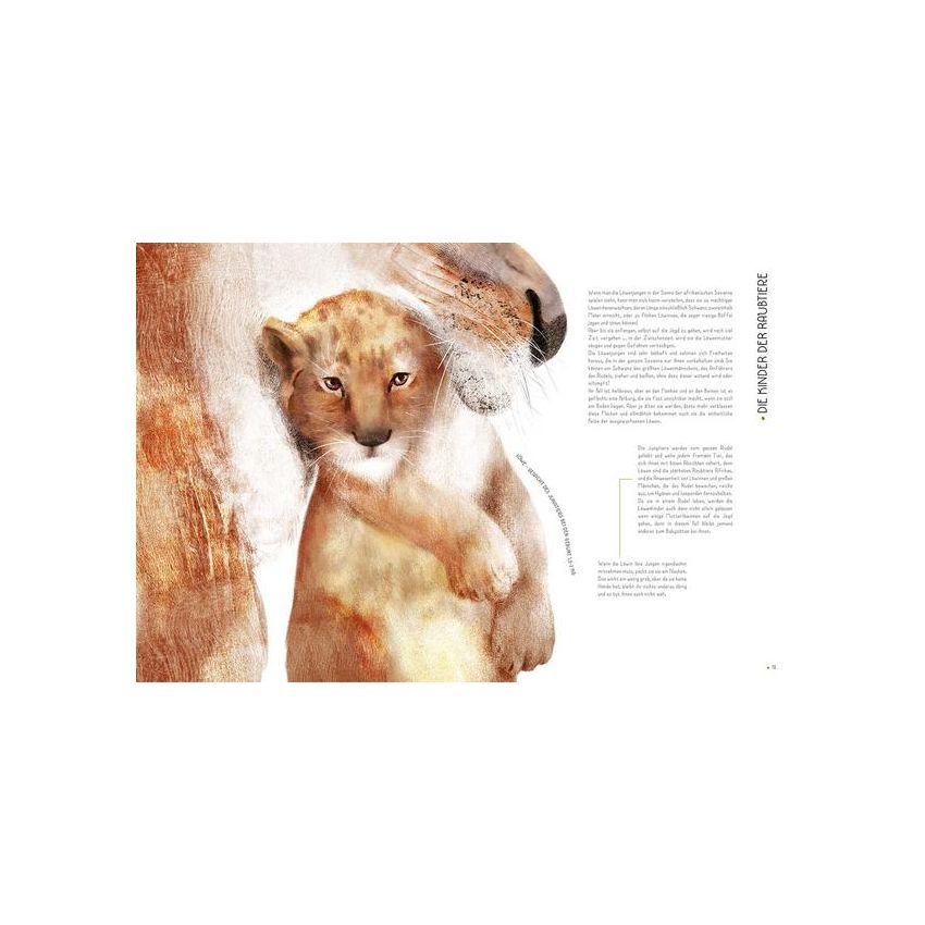 WSKids - 100% Tierbabys in Lebensgrösse