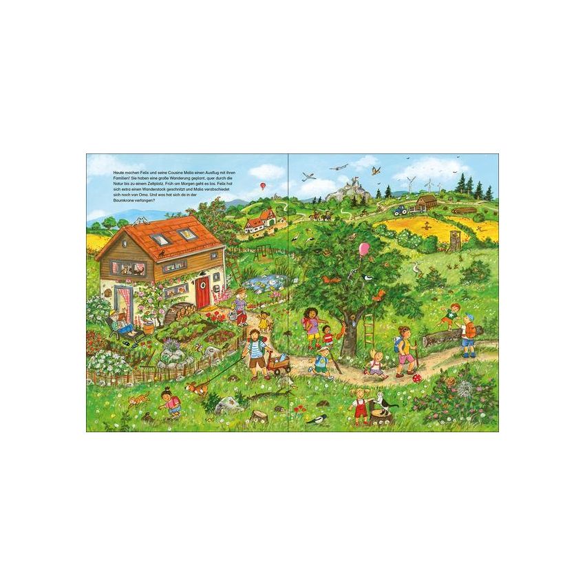 Loewe Verlag - Wimmelbuch Viel los in der Natur