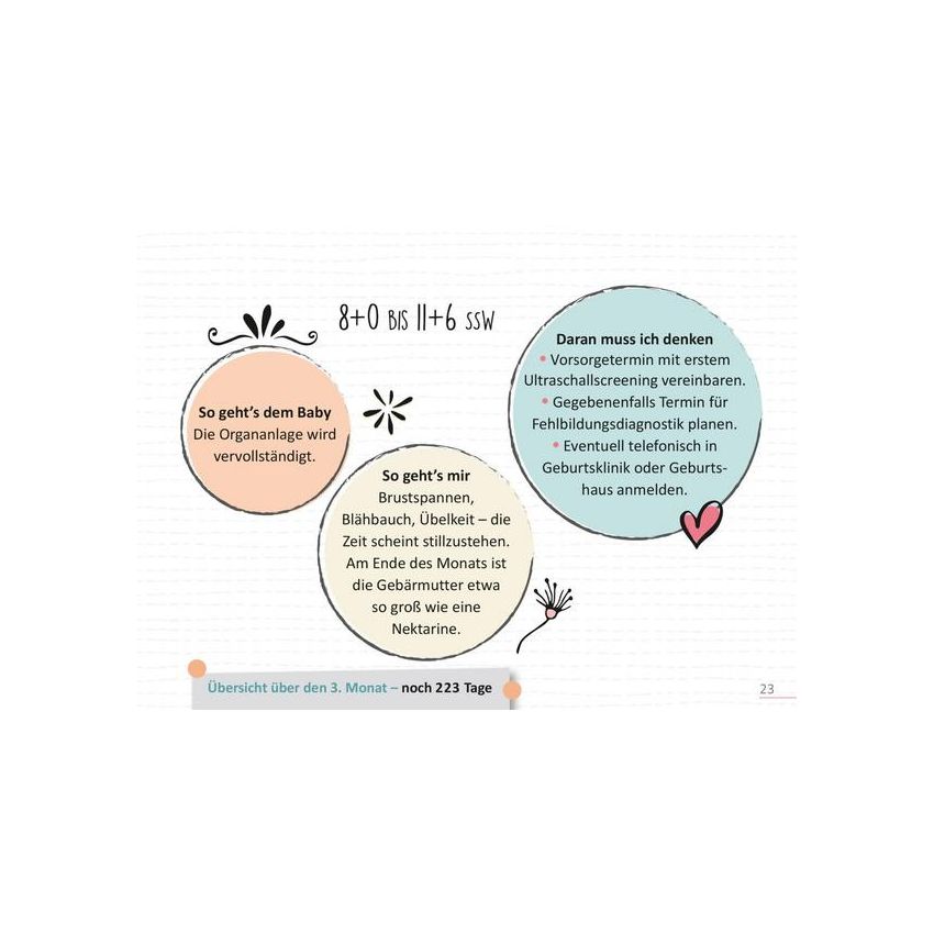 arsEdition - Stellkalender Deine Schwangerschaft, Tag für Tag