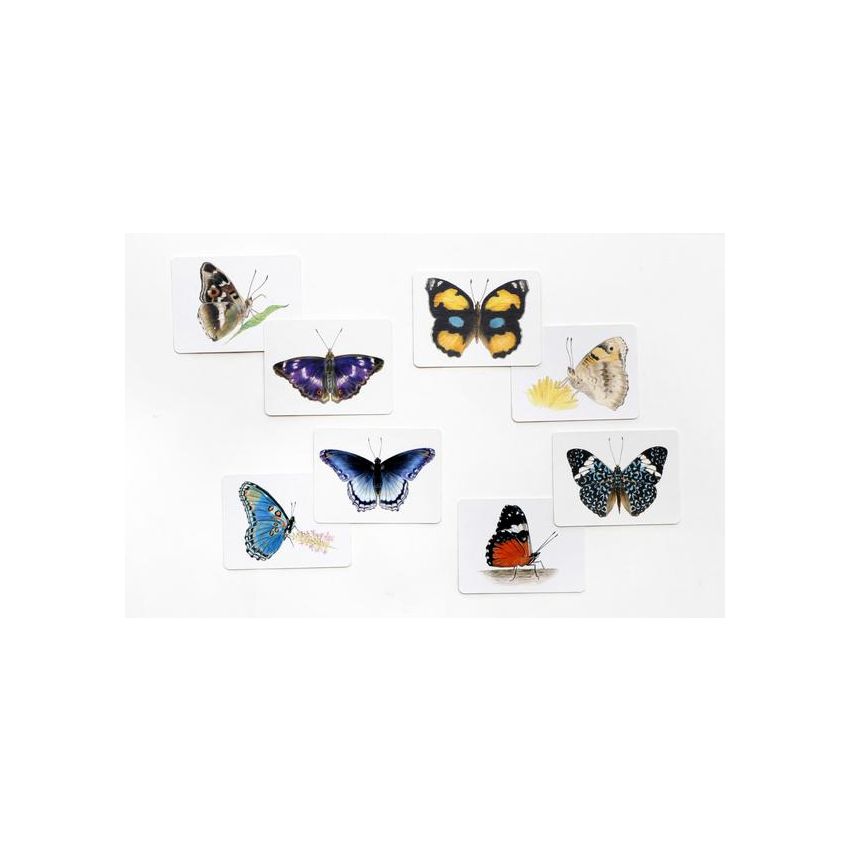 Laurence King Verlag - Schmetterlinge und ihre Flügel - Ein Memory