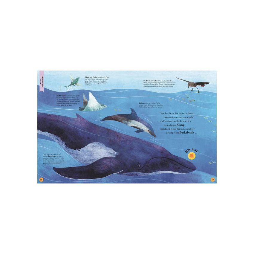 Dorling Kindersley - Der Klang der Tiere. In der Wildnis - Soundbuch