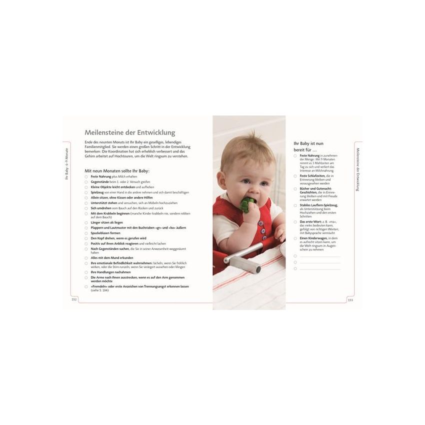 Dorling Kindersley - Mami Checklisten. Perfekt vorbereitet!