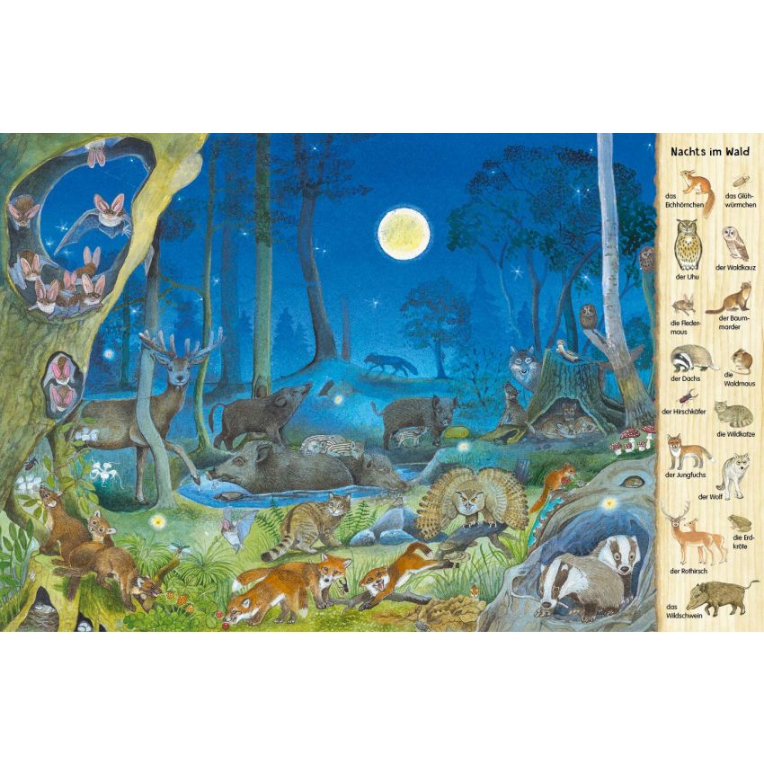 Esslinger Verlag - Mein erstes Wimmelbuch: Tiere in der Nacht