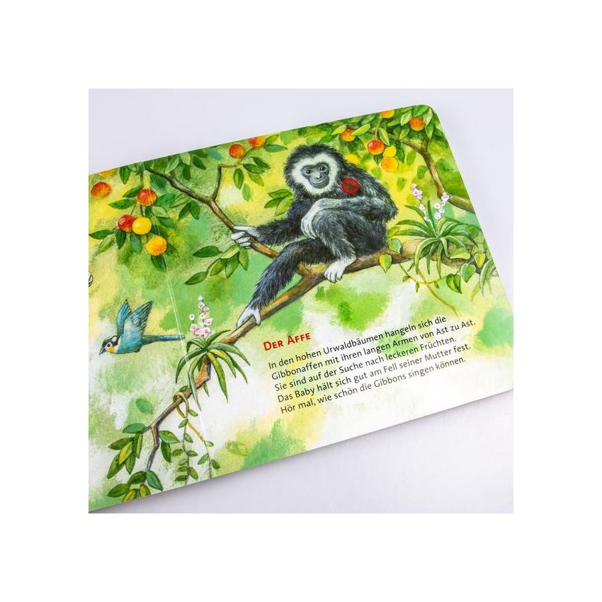 Carlsen Verlag - Hör mal - Wilde Tiere