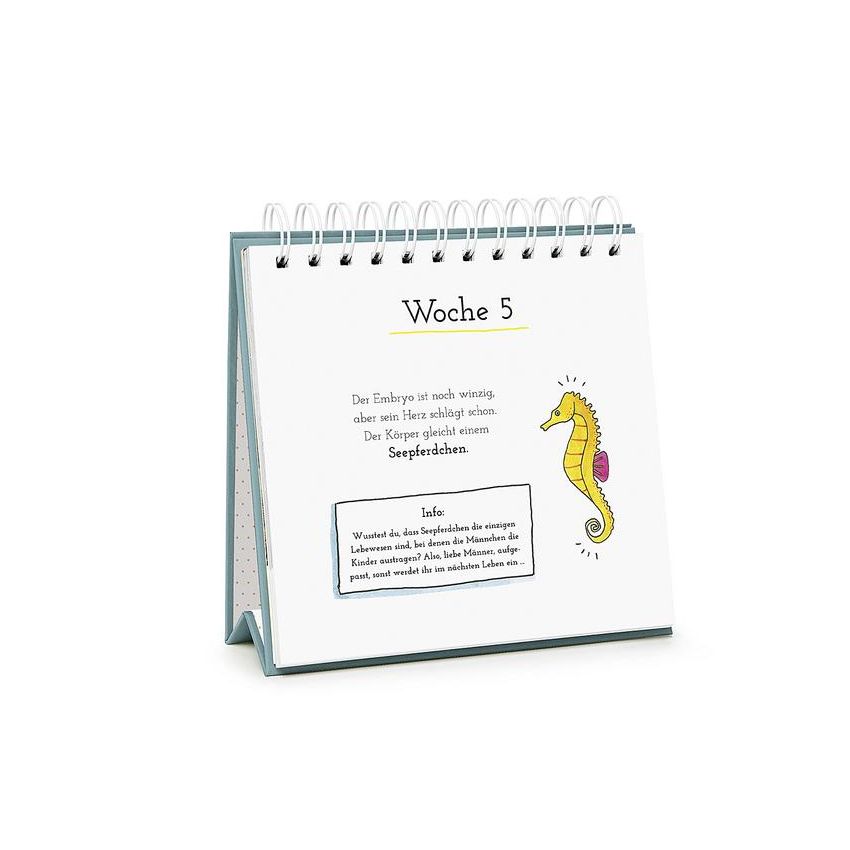 Pattloch Verlag - Baby Loading - Der etwas andere Wochenkalender für die Schwangerschaft