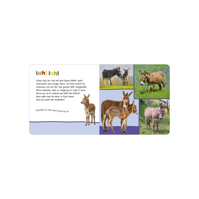 arsEdition - Hör mal rein, wer kann das sein? Auf der Weide