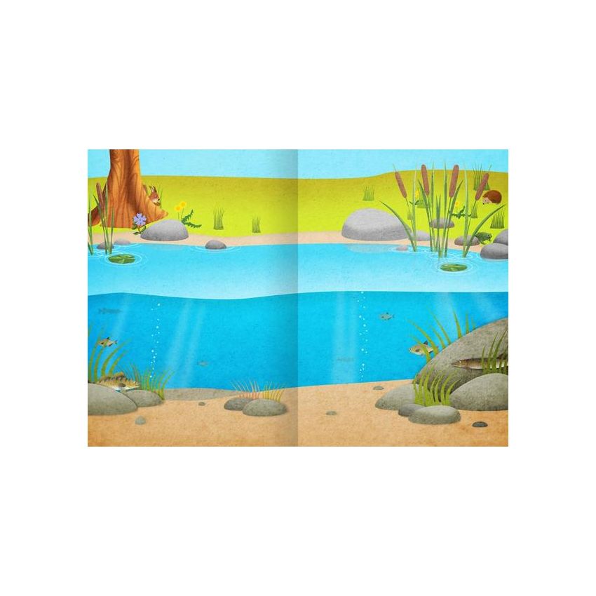 arsEdition - Mein Natur-Stickerbuch