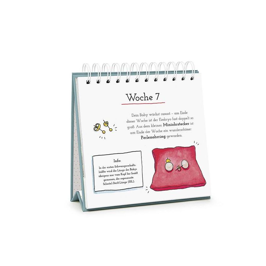 Pattloch Verlag - Baby Loading - Der etwas andere Wochenkalender für die Schwangerschaft
