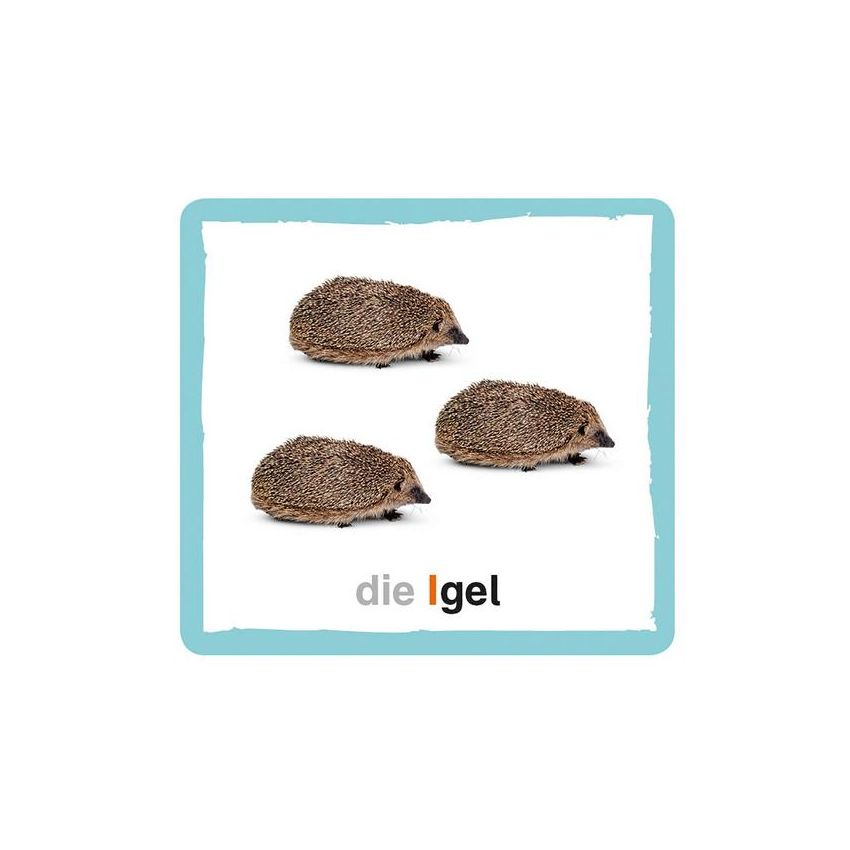 Dorling Kindersley - Meine A B C Spielbox