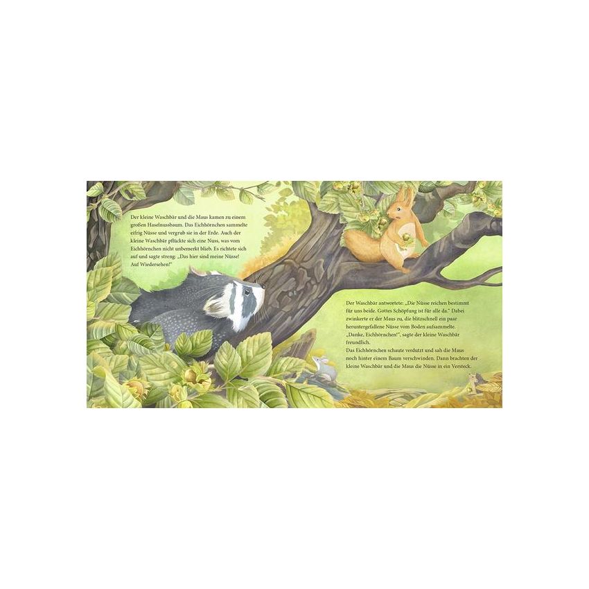 bene! Verlag - Der kleine Waschbär findet neue Freunde