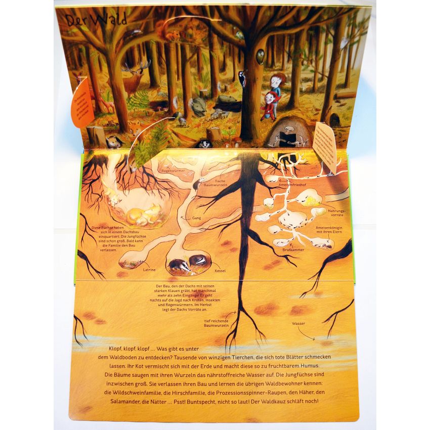 Gerstenberg Verlag - Drüber & drunter - In der Natur