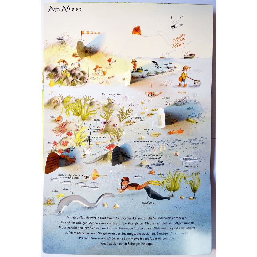 Gerstenberg Verlag - Drüber & drunter - In der Natur