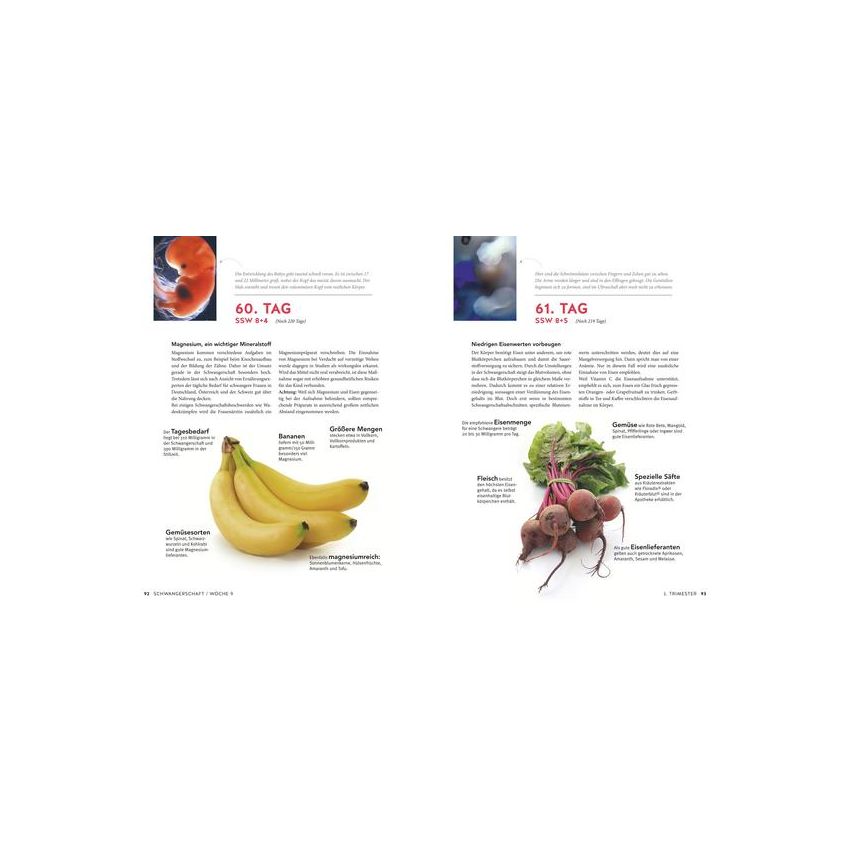 Gräfe und Unzer Verlag - Tag für Tag durch meine Schwangerschaft