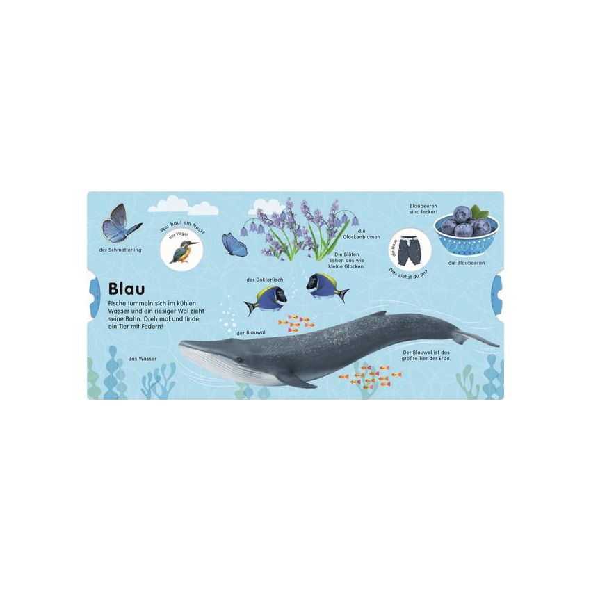 Dorling Kindersley - Erstes Lernen Drehen. So viele Farben