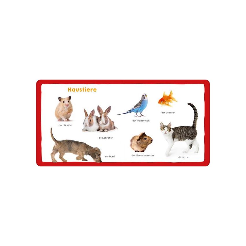 arsEdition - Meine ersten 100 Tiere