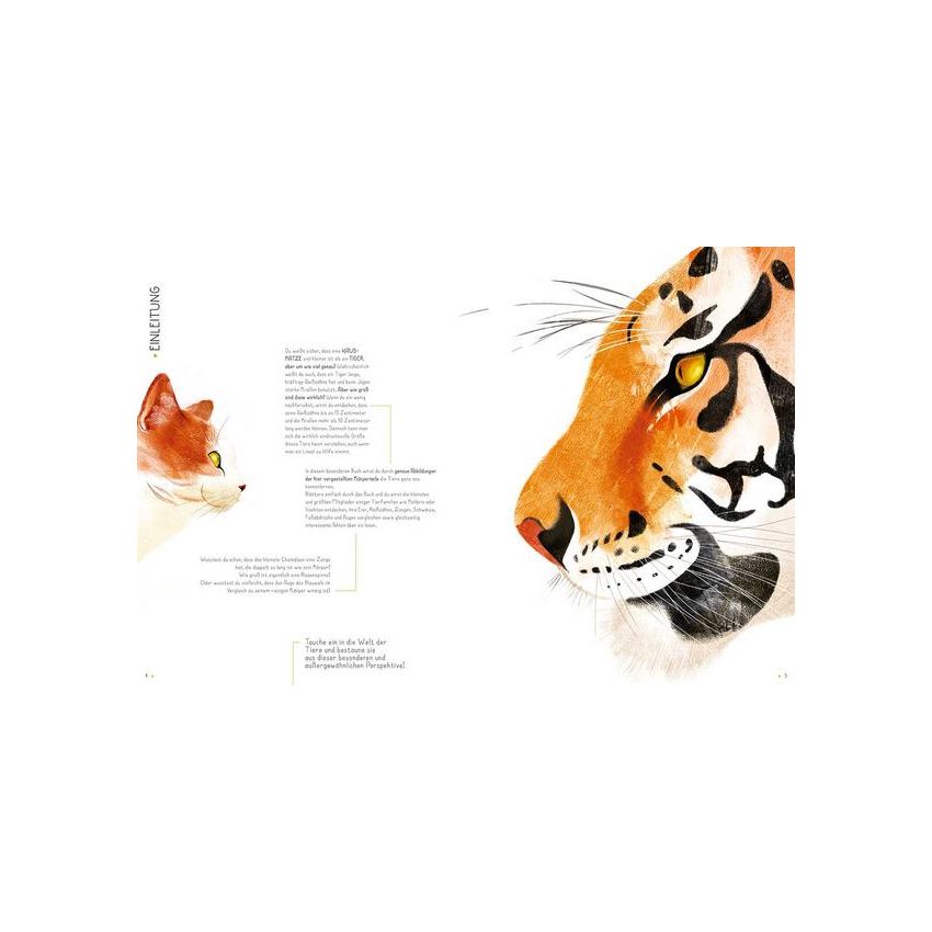 WSKids - 100% Tiere in Lebensgrösse