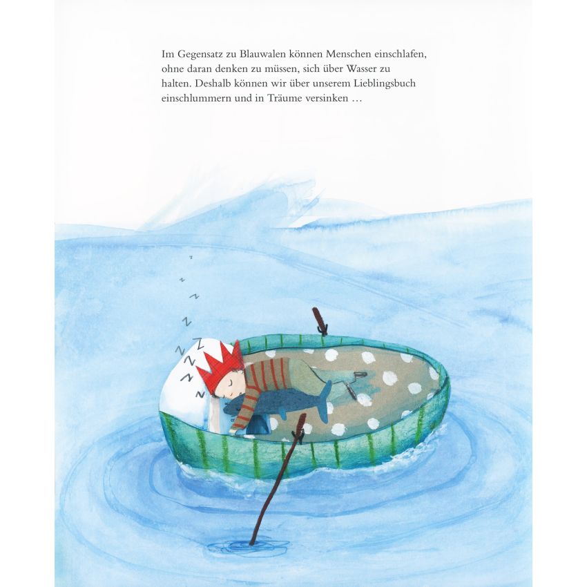 Aladin Verlag - Der Blauwal