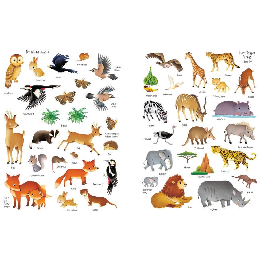 Usborne Verlag - Mein erstes Stickerbuch: In der Natur