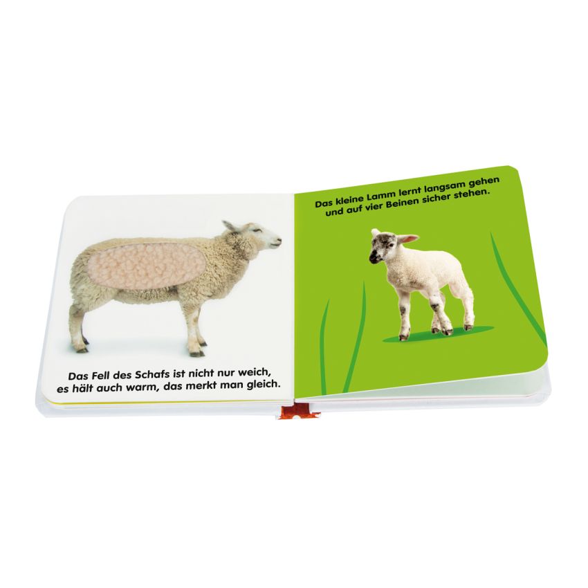 Dorling Kindersley - Mein Fühlbilderbuch. Tiere auf dem Bauernhof