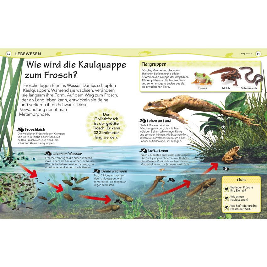 Dorling Kindersley - Weshalb? Deshalb!