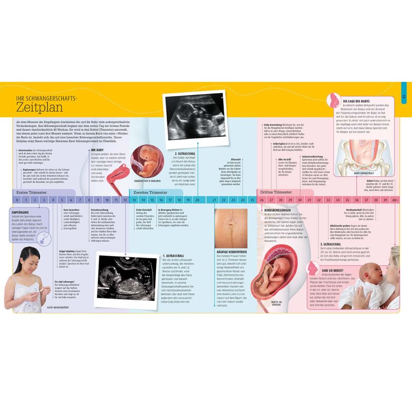 Dorling Kindersley - Schwangerschaft & Geburt - Alle Antworten auf meine Fragen