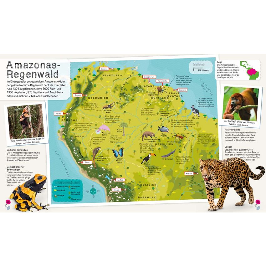 Dorling Kindersley - Tier-Atlas für Kinder (Mit Mega- Poster)