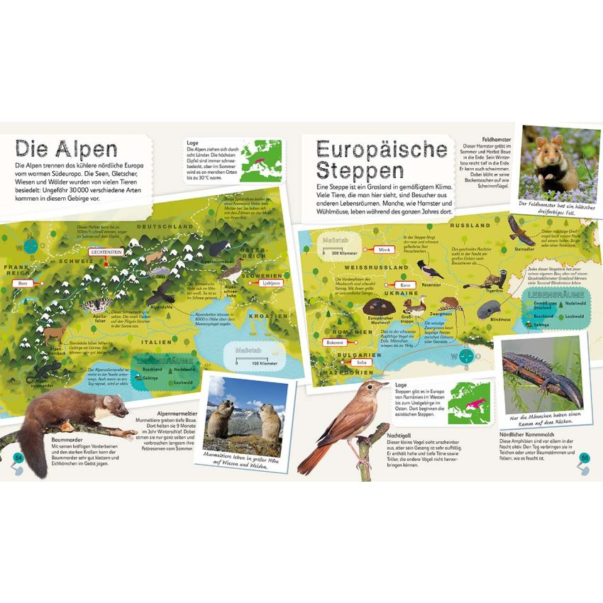 Dorling Kindersley - Tier-Atlas für Kinder (Mit Mega- Poster)