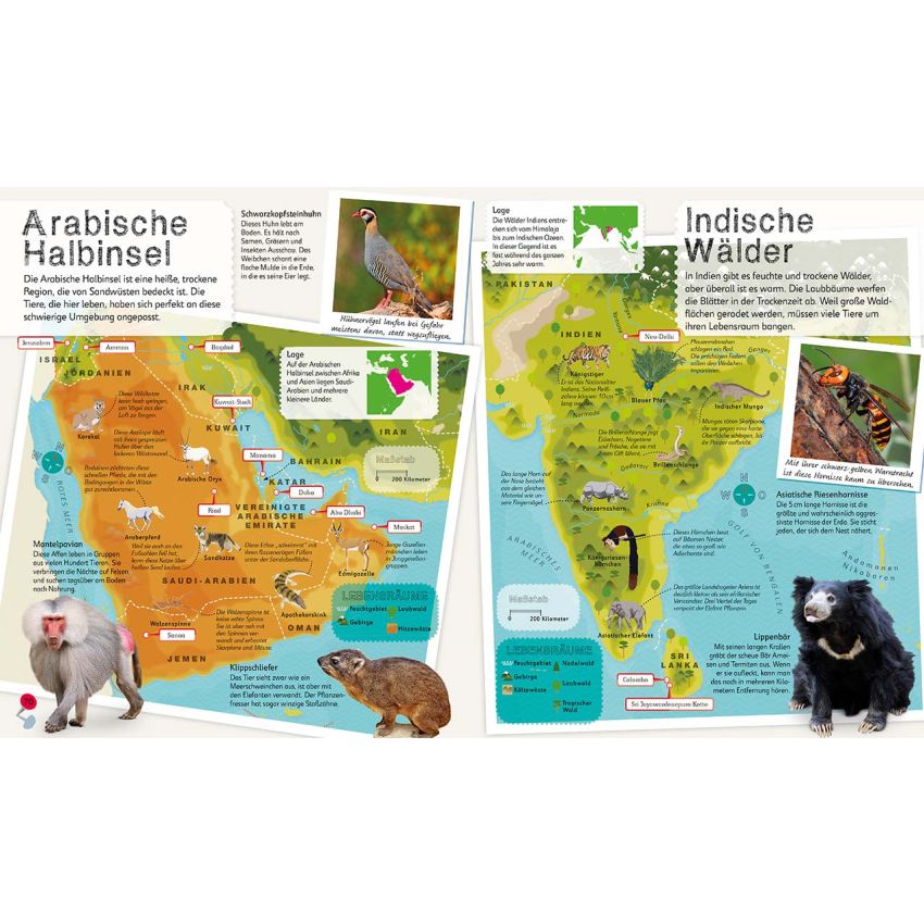 Dorling Kindersley - Tier-Atlas für Kinder (Mit Mega- Poster)