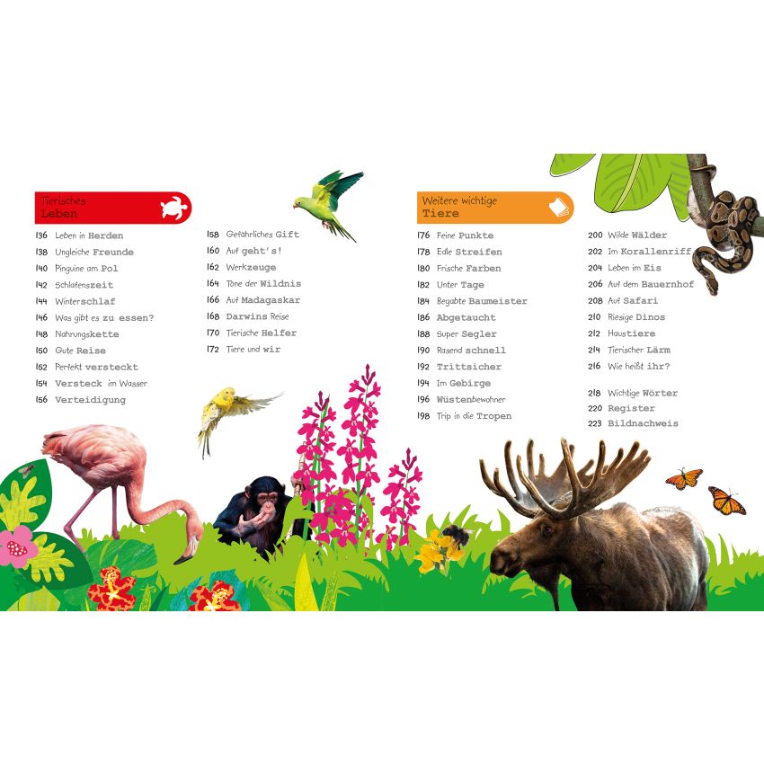 Dorling Kindersley - Was weisst du über Tiere?