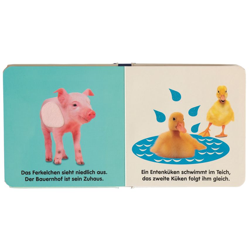 Dorling Kindersley - Mein Fühlbilderbuch. Süsse Tiere